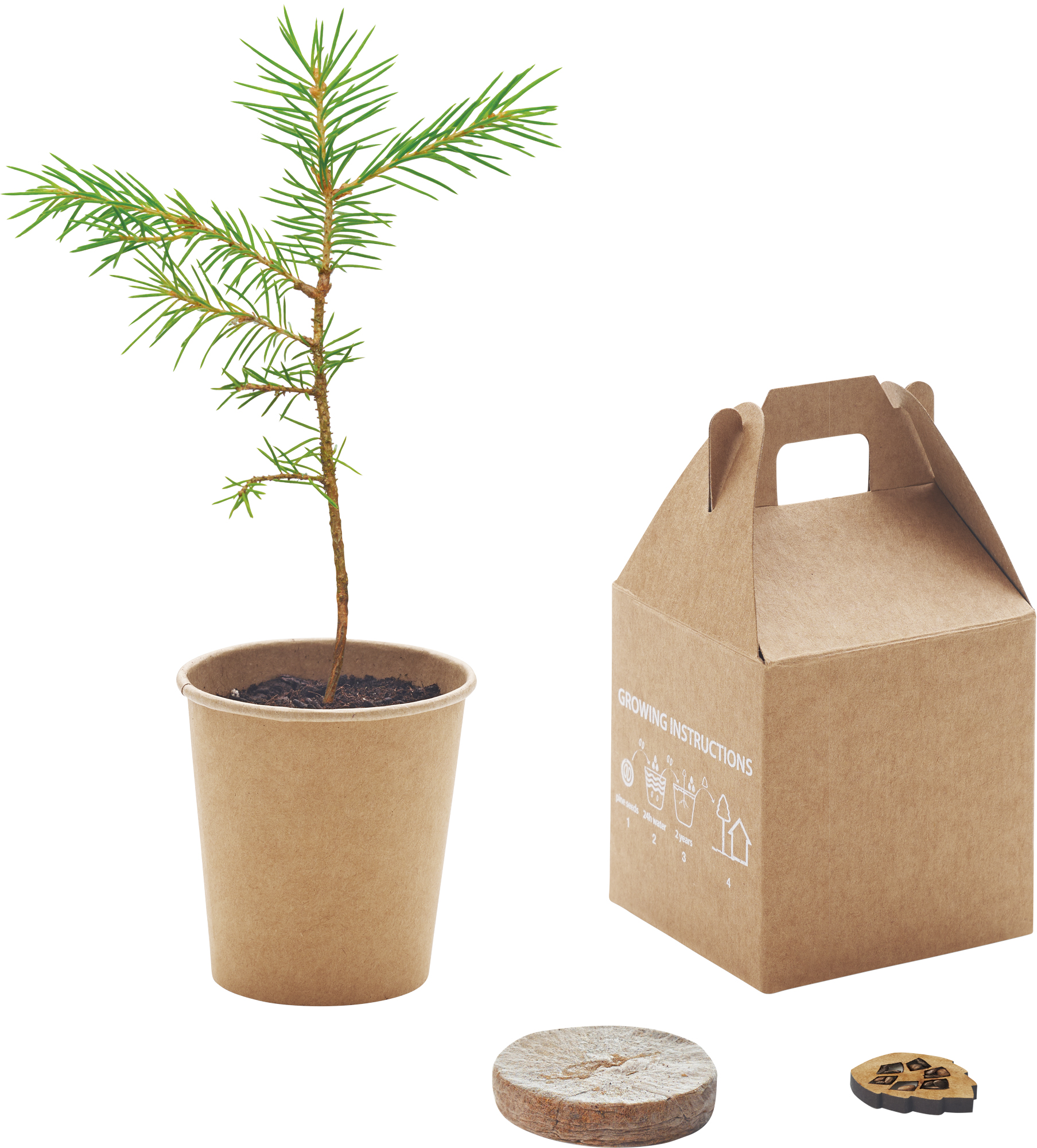Pflanz-Set  &bdquo;Growtree&ldquo;